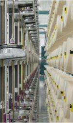 {E9BC4358-AC25-4130-B4B1-E0AEE3FD0B8C}